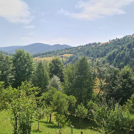 Apuseni Holidays Rachitele Exterior photo