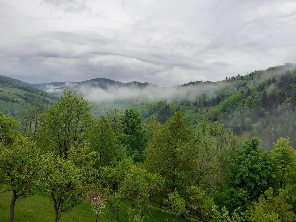 Apuseni Holidays Rachitele Exterior photo