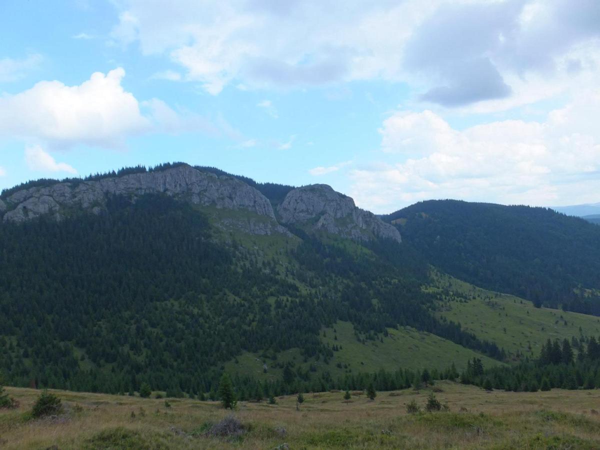 Apuseni Holidays Rachitele Exterior photo
