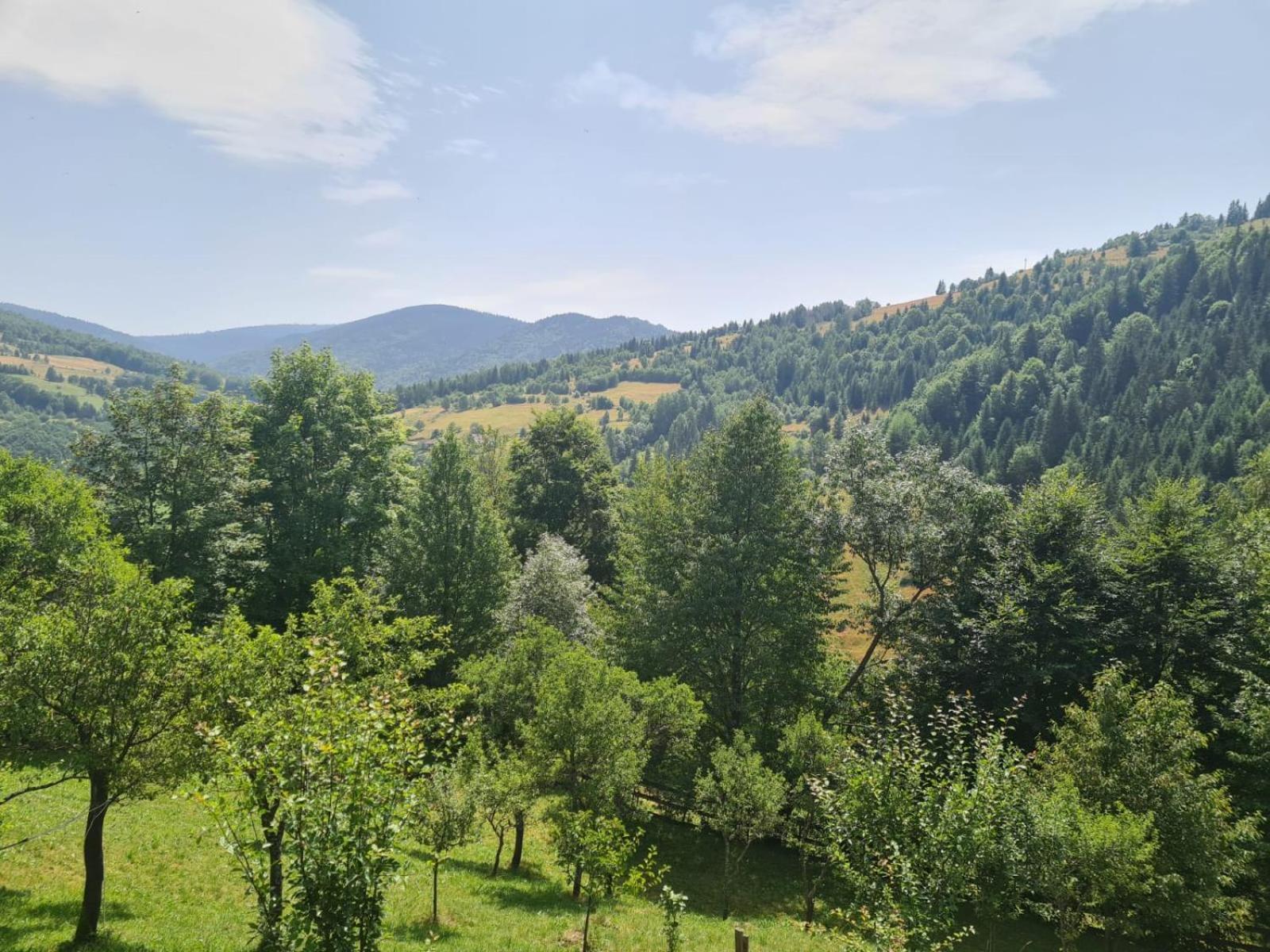 Apuseni Holidays Rachitele Exterior photo
